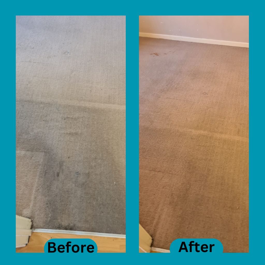 carpet cleaner, carpet cleaning services
